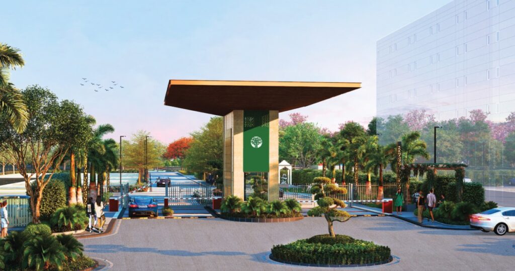 New PostM2K Olive Green Floors: Redefining Luxury in Sector