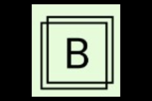Targeted Facebook Ads & B2B Campaigns by Bsquaree