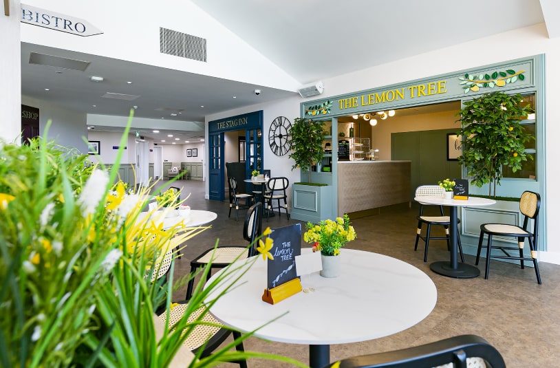 Care Home Interior Design Services for Better Living