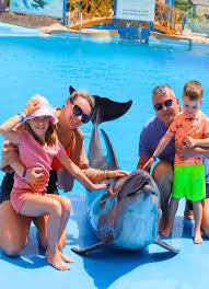 Delfinschwimmen in Hurghada – Ein unvergessliches Abenteuer