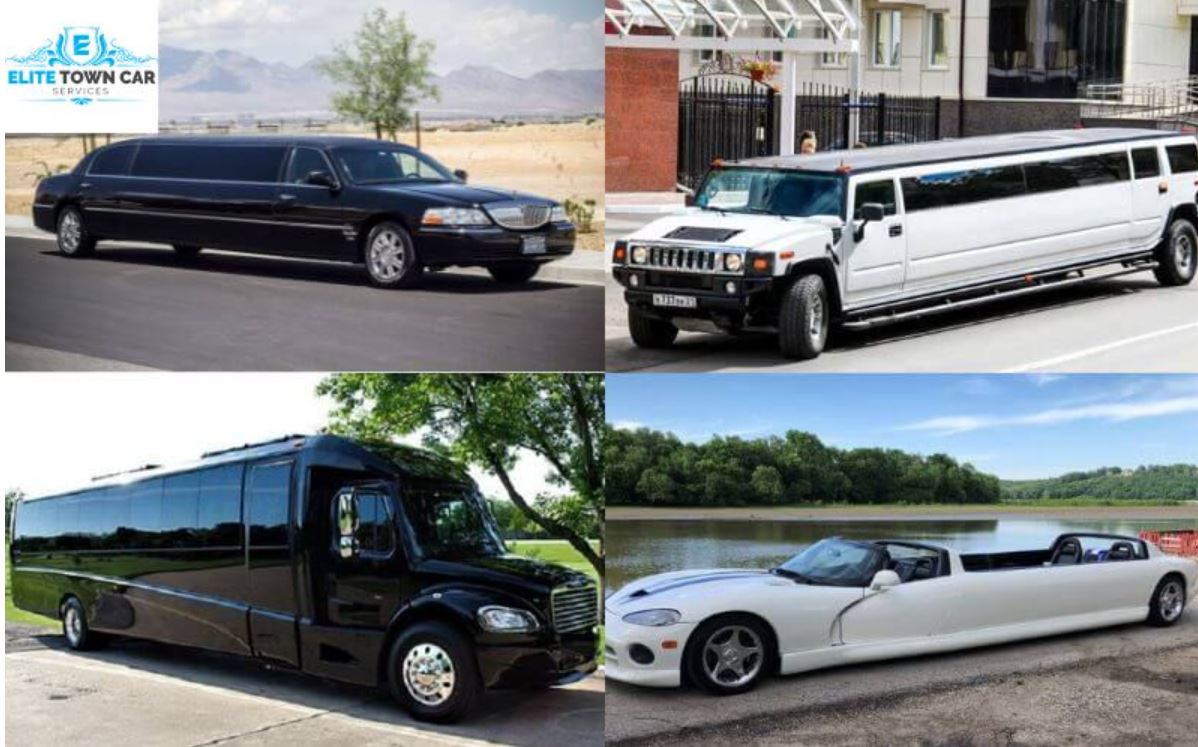 How Many People Fit in a Limousine? Your Guide to Limo Sizes
