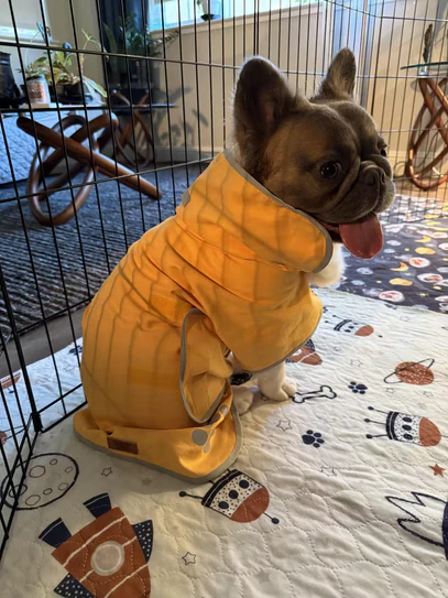 Pamper Your Pup: The Essential Guide to Dog Bath Towels