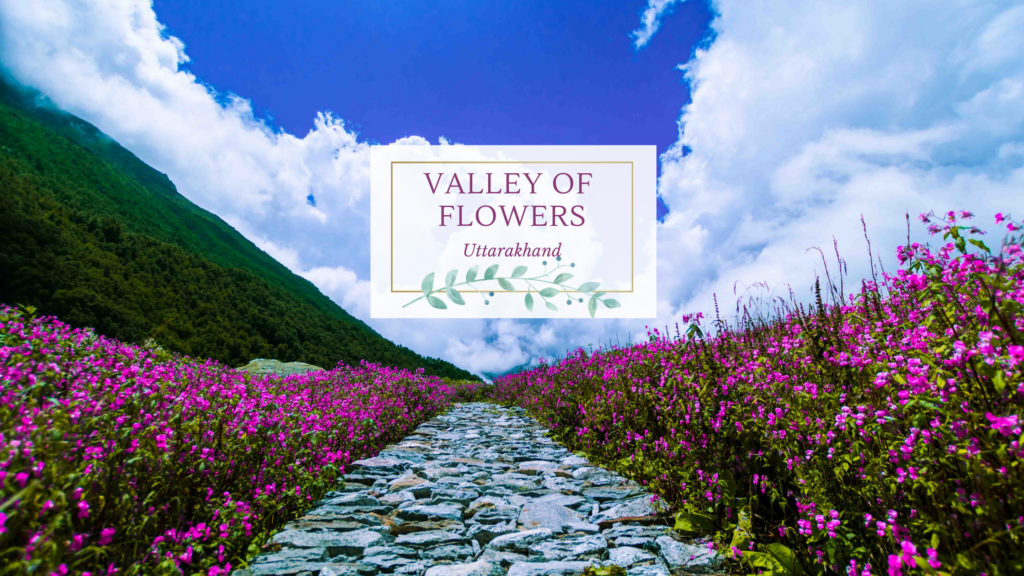 Valley of Flowers Trek