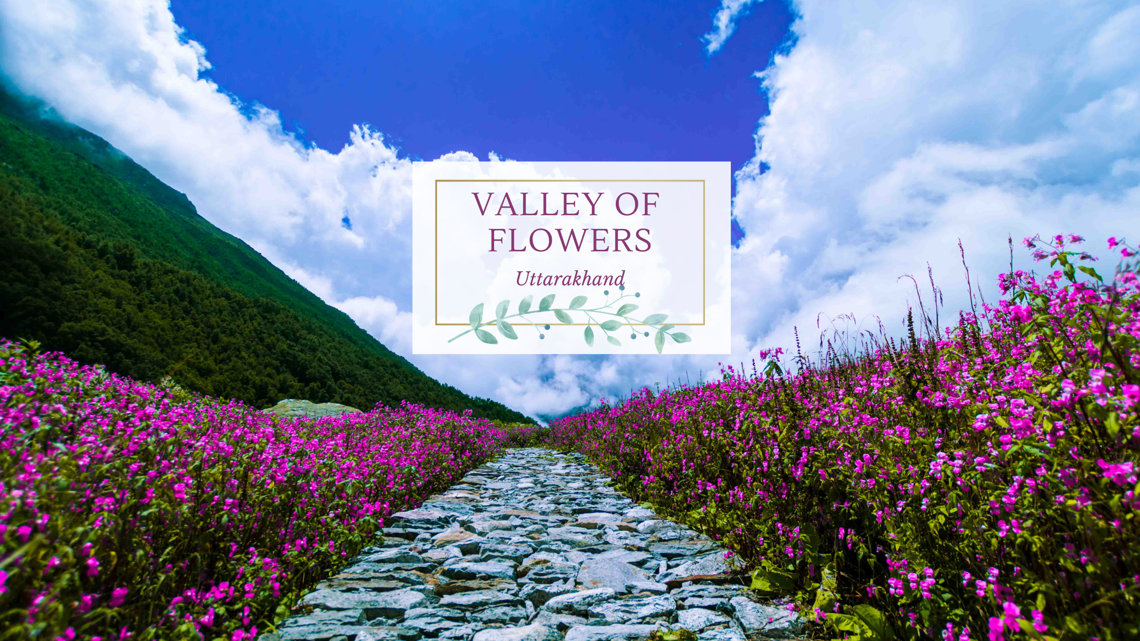 Valley of Flowers Trek