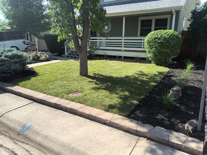 EcoScapes Lawn and Landscape: Enhancing Your Property with Concrete Curbing & Lawn Care