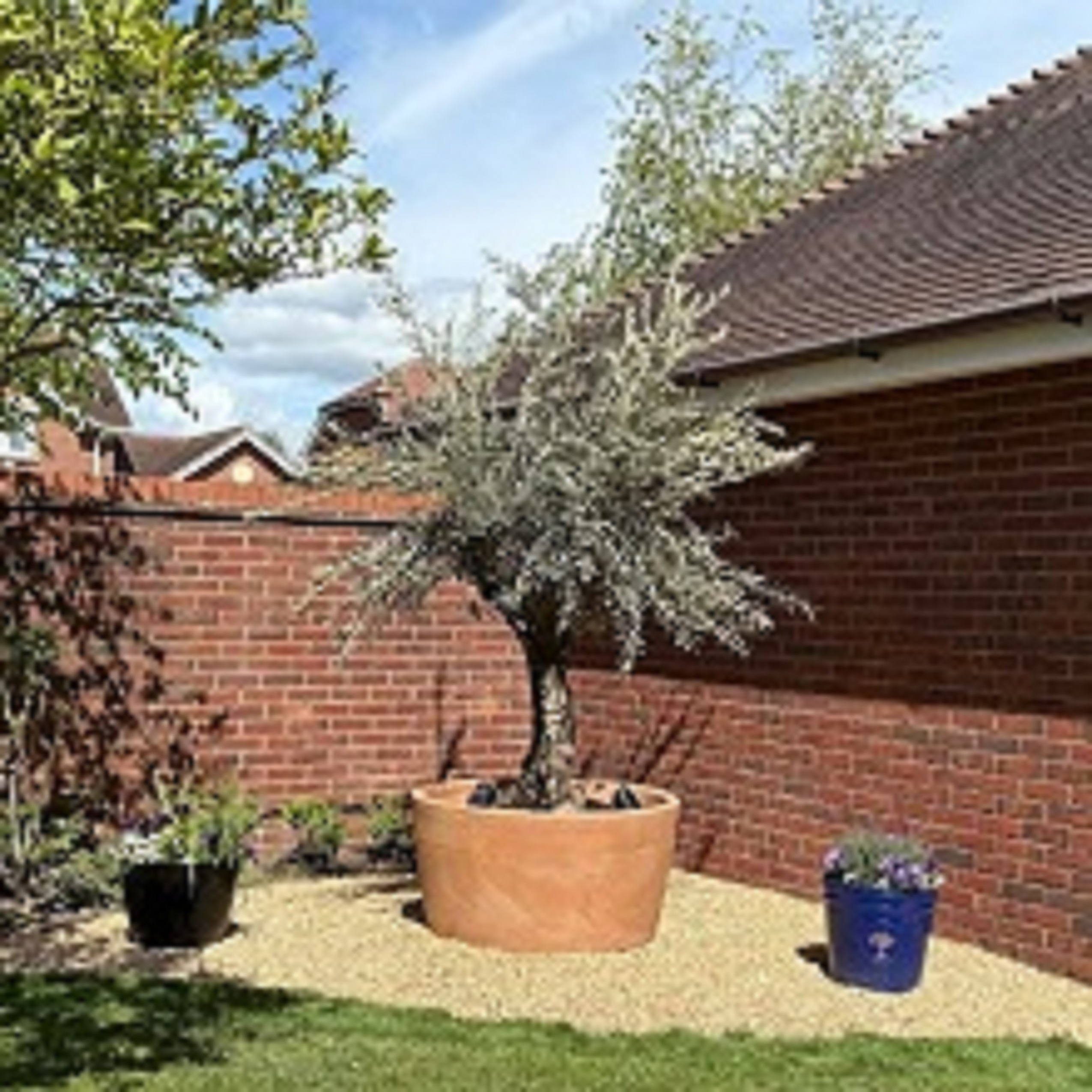 Add Mediterranean Charm to Your Garden with Capri Pots