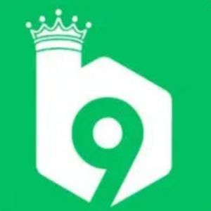 B9 Game Download Latest Version for Android Ios