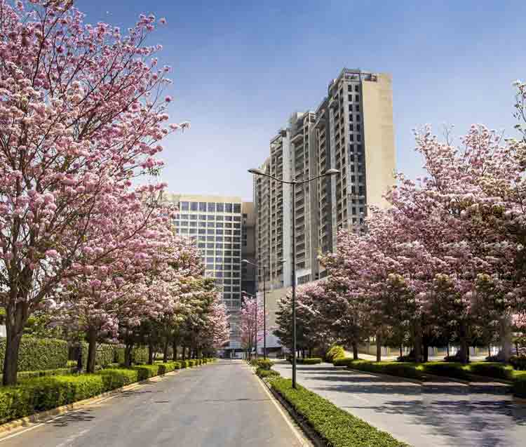 Bhartiya City Sadahalli: Project Details You Need to Know