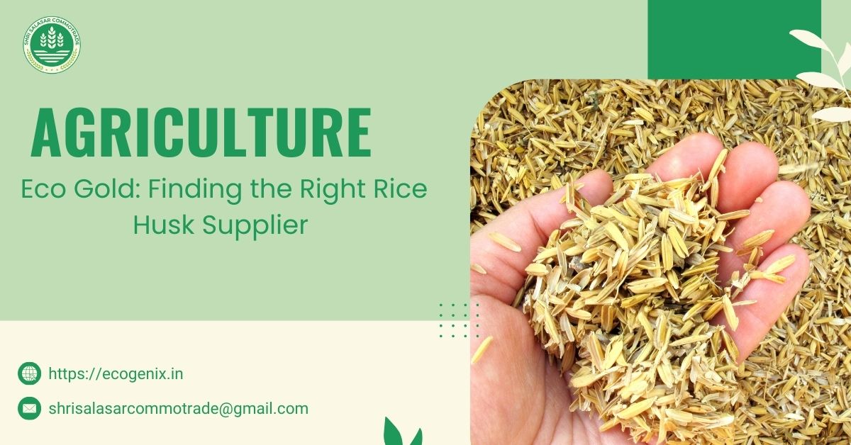 New PostEco Gold: Finding the Right Rice Husk Supplier