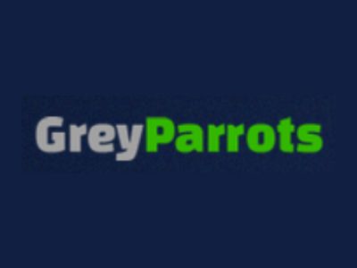 Grey Parrots of Texas