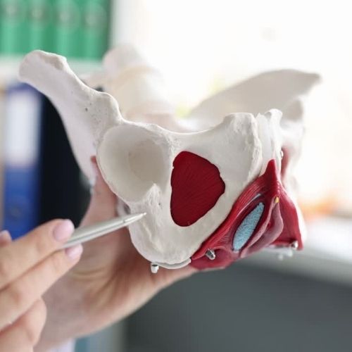 New PostPelvic Health in Langley: Understanding and Improvin