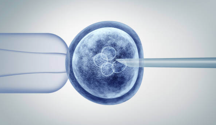 Stem Cells Treatment in Dubai: Revolutionizing Healing