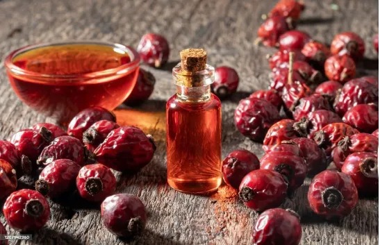 Batana Oil & Butter Bulk Suppliers & Wholesale Distributors