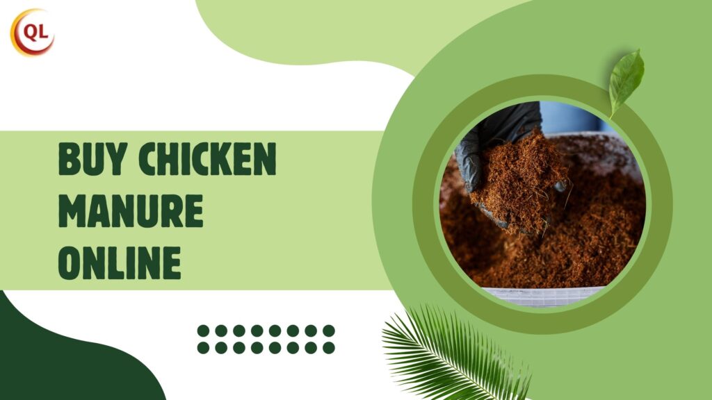 Buy Chicken Manure Online: The Future of Organic Fertilizer