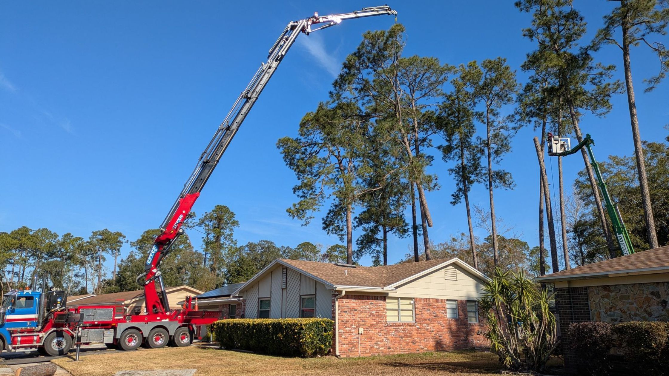 Do You Need Complete Tree Removal in Orange Park, FL?
