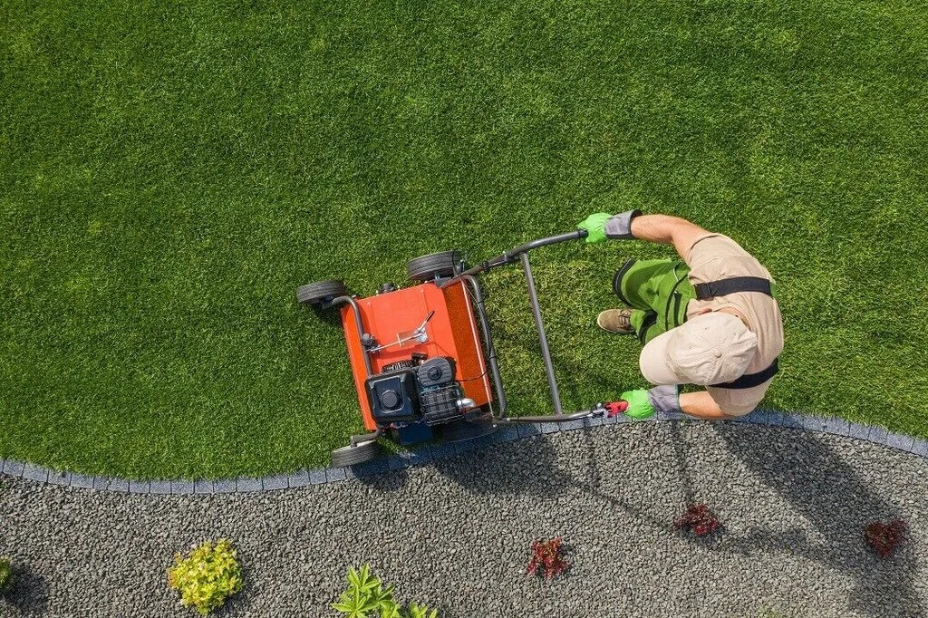 Healthy Lawns Start Here – Calgary’s Go-To Lawn Experts