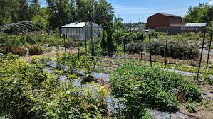Why Is Garden Compost Essential for UK Gardeners?