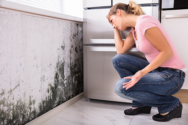 Prevent Property Value Loss with Mold Remediation Services