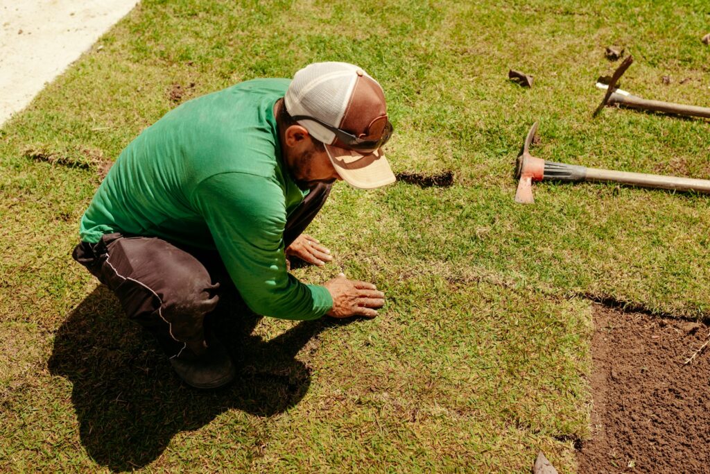 The Role of Mulch in Sod Installation